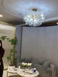 -八佰伴8008星级形象店