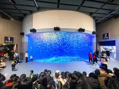 -合肥海洋世界