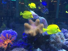 -乐享养生(东湖店)