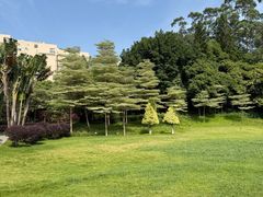 -厦门悦华酒店