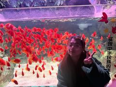 -常州海昌海洋探索馆