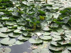 -长春市南湖公园