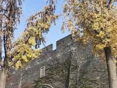 -老阊门菜馆(山塘街店)