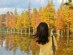 -白鹭湾湿地公园