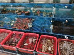 -瑶记海鲜餐厅(西涌店)