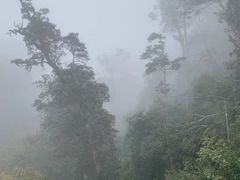 -云南屏边大围山国家公园