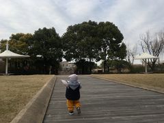 -新江湾城公园