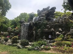 -上海鲜花港