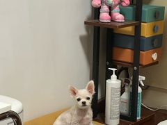 -美联众合24小时·皮肤科·外科·全科诊疗中心(华苑分院)