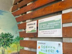 -福田红树林生态公园