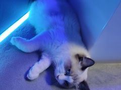 -零纪元VR体验馆·桌游(黄浦店)