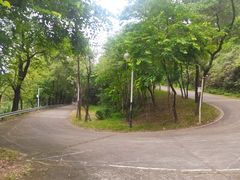 -风云岭森林公园