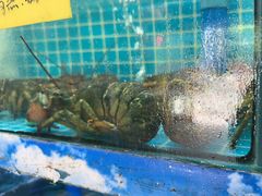 -坛南湾阿强农家乐.海鲜大排档老字号(福州地标美食店)