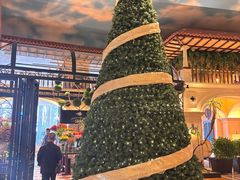 -深圳威尼斯英迪格酒店