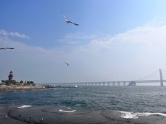 -星海广场