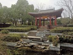 -武汉园博园(武汉自然博物馆)