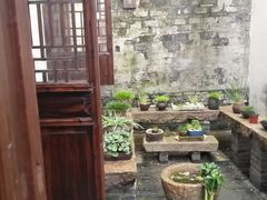 -月栖华明-云间草堂清茶馆(泗泾古镇店)