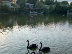 -春晖园度假酒店温泉