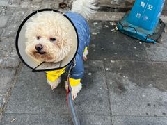 -美联众合动物医院·24h转诊中心