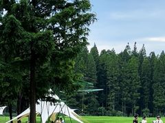 -黄海国家森林公园