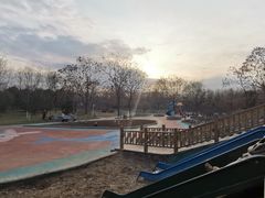 -大兴滨河森林公园