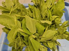 豌豆尖-飘香火锅(玉林西路店)