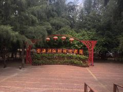 -北海金海湾红树林生态旅游区