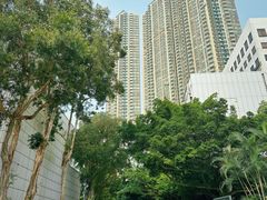 -九龙公园
