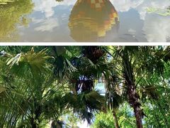 -中国科学院西双版纳热带植物园
