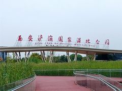 -西安浐灞国家湿地公园