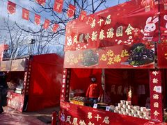-北京凤凰岭
