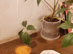 -MAISON门前杂货店