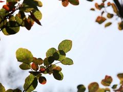 -南海子公园