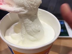 -DQ·蛋糕·冰淇淋(绿宝店)