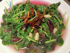 鸡汤红苋菜-新白鹿餐厅(金鹰新街口店)
