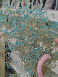 -斐尔国际皮肤管理中心