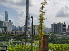 -小茶闲舍·观景商务茶馆(广州塔店)