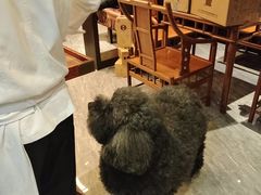 -全聚德(常州店)