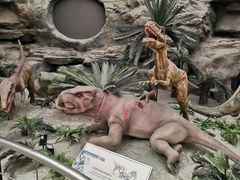 -国家自然博物馆