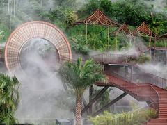 -海南热带雨林国家公园吊罗山景区