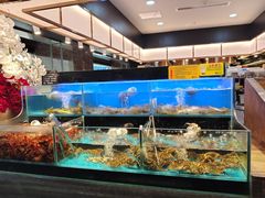-苏格里岛自助烤肉海鲜火锅(成都金牛万达店)