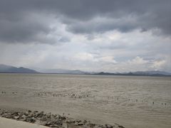 -深圳湾公园(南山区)