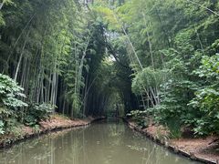 -同里国家湿地公园