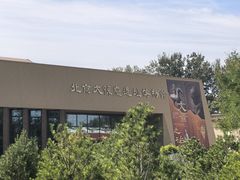 -北京大葆台遗址博物馆