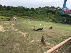 -秀丽东方