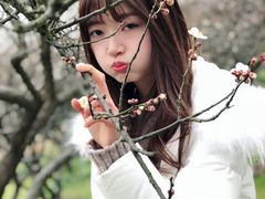 -香雪海