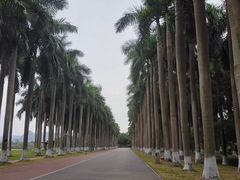 -南宁花花大世界景区