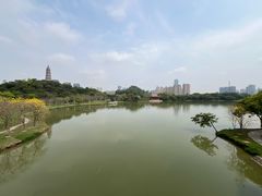 -顺峰山公园