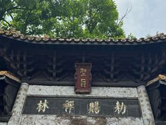 -中国观音故里广德景区