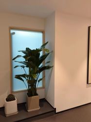 -吾之瑜生瑜伽普拉提学院